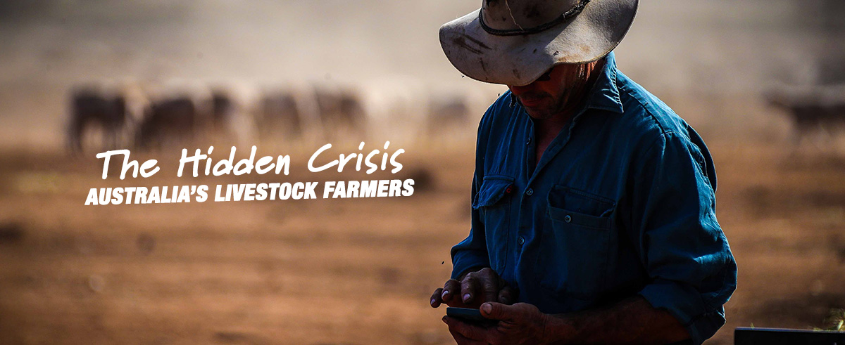 the-hidden-crisis