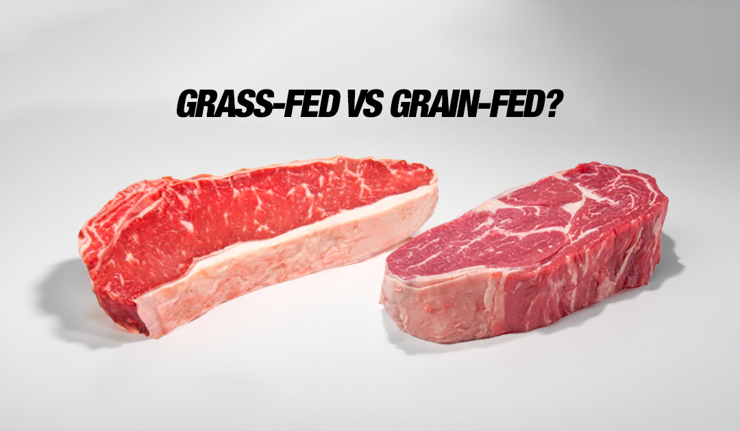 grass-fed-vs-grain-fed