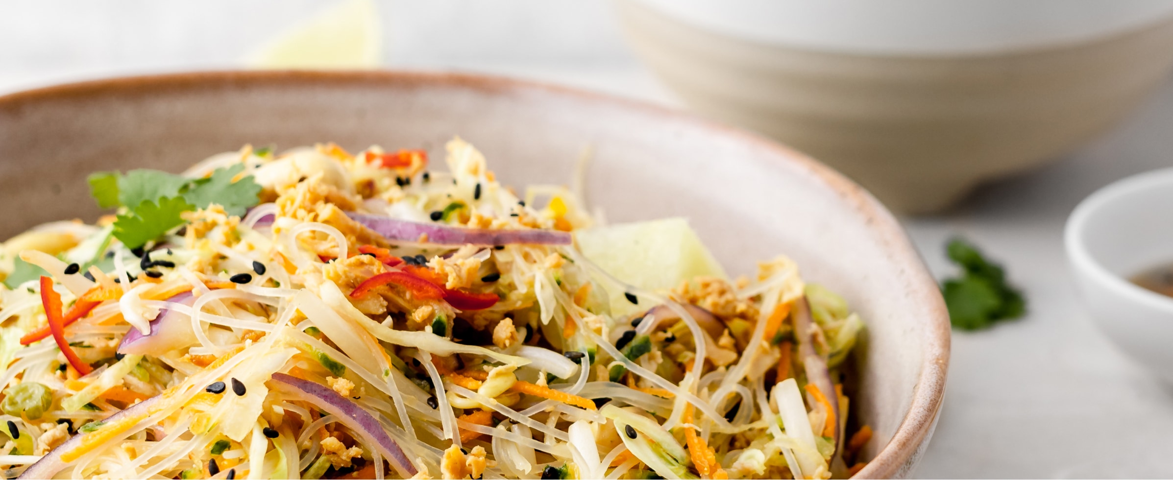 Lemongrass Chicken Vietnamese Salad