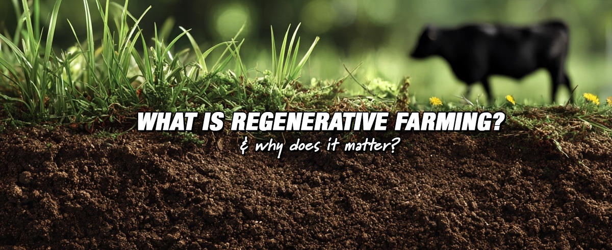 What is regenerative farming blog