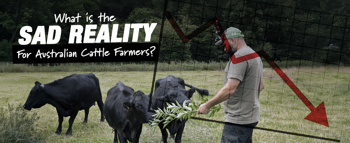 The-Sad-Reality-For-Cattle-Farmers