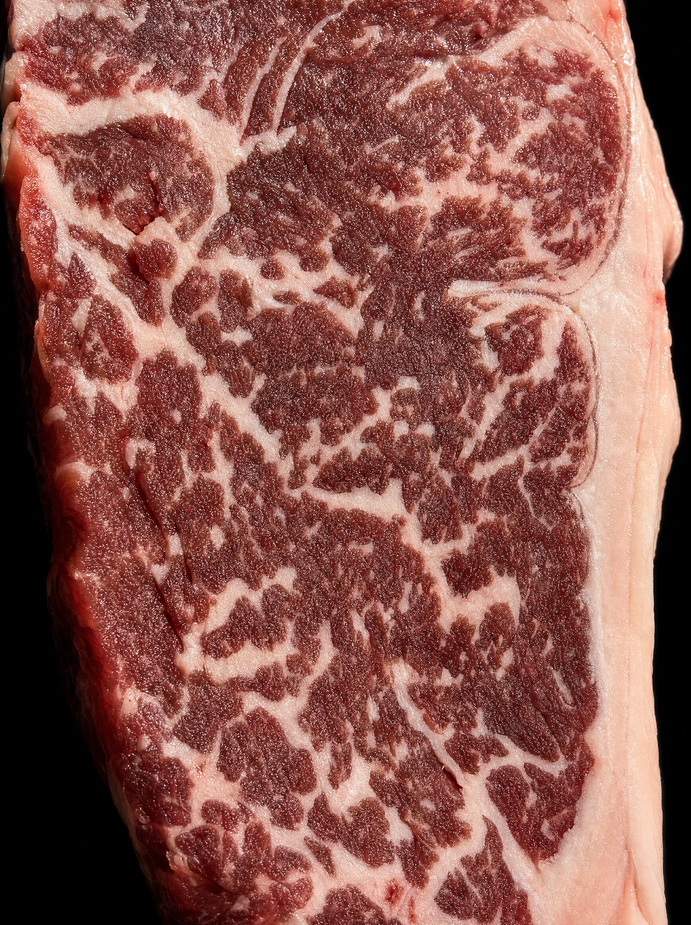 Macro close up of the cut face of a grass-fed wagyu porterhouse showing fine white marbling through deep red muscle